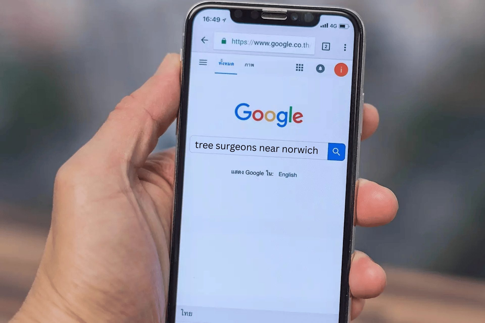 A man searching for tree surgeons near Norwich on Google on his mobile
